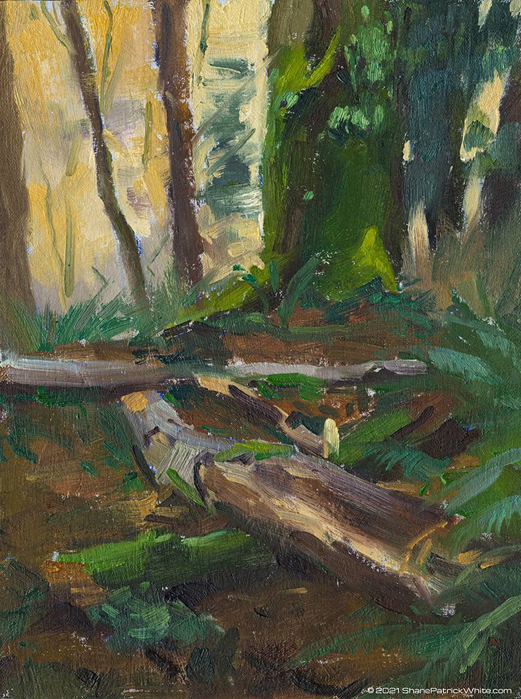 "shane patrick white" "shane white" "oil painting" "landscape" "plein air" "plein air painting" "forest" "maritime"